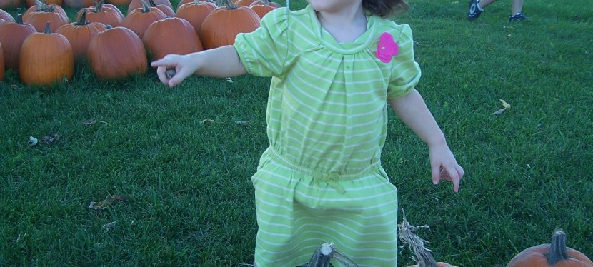 Fall Family Fun at Gust Brothers’&nbsp;Farm