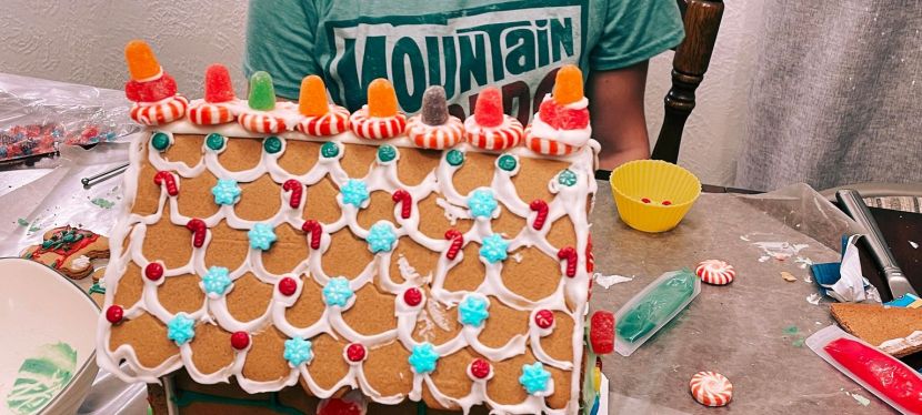 Happy National Gingerbread House&nbsp;Day