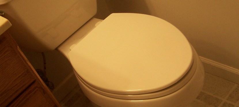 9th Wedding Anniversary gift,&nbsp;toilet!?!
