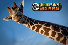 Day 2: African Safari Wildlife Park