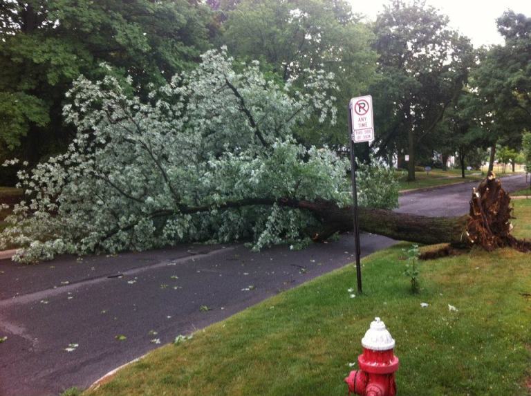 528916_10151236349494606_340297156_n