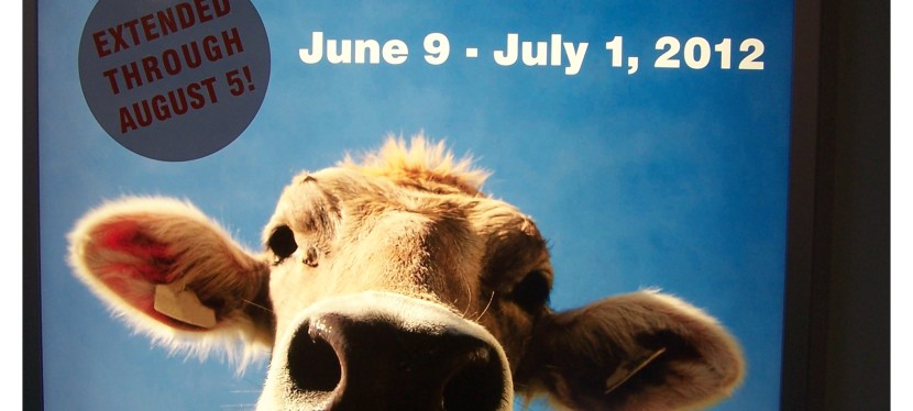 Farm Fest at Imagination Station (Exhibit extended through August&nbsp;5th)