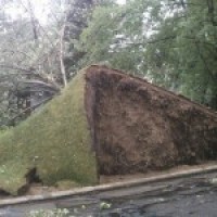 Toledo-Storm-damage-150x150