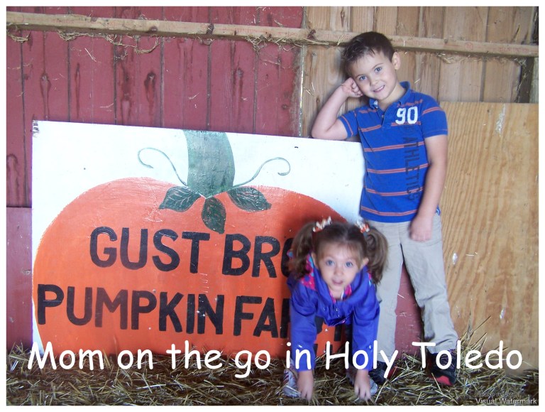 gust_fisherprice 020