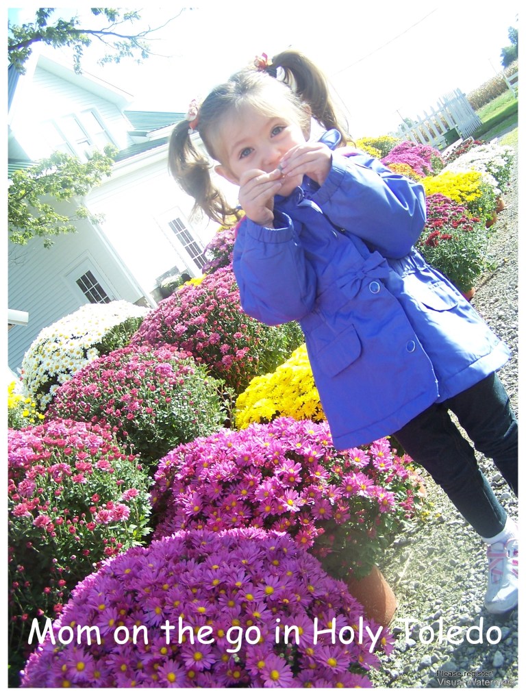 gust_fisherprice 023