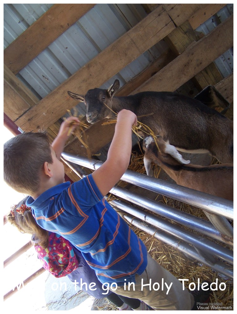 gust_fisherprice 050