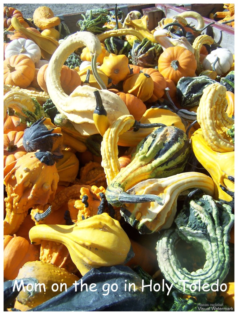 gust_fisherprice 058