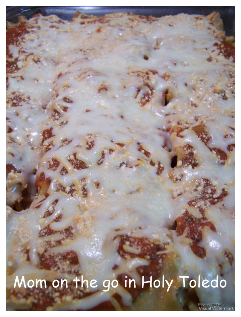 lasagnafamilyroom 048