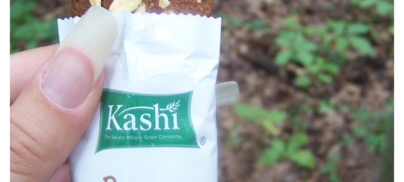 Nature Scavenger Hunt & Kashi Banana Chocolate Chip Soft n’ Chewy Bars&nbsp;Review