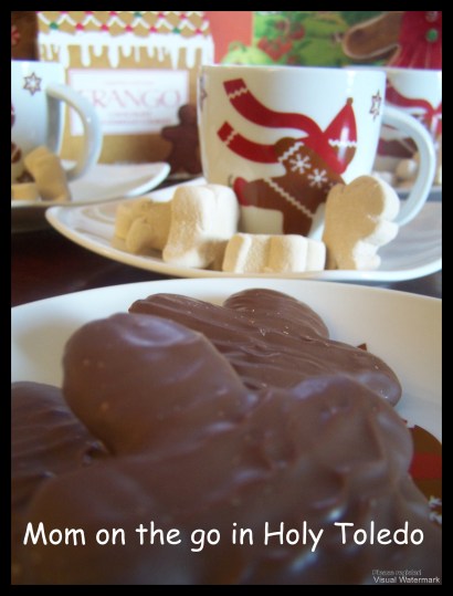 feelings_gingerbread 058