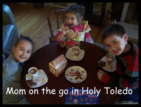 feelings_gingerbread 063