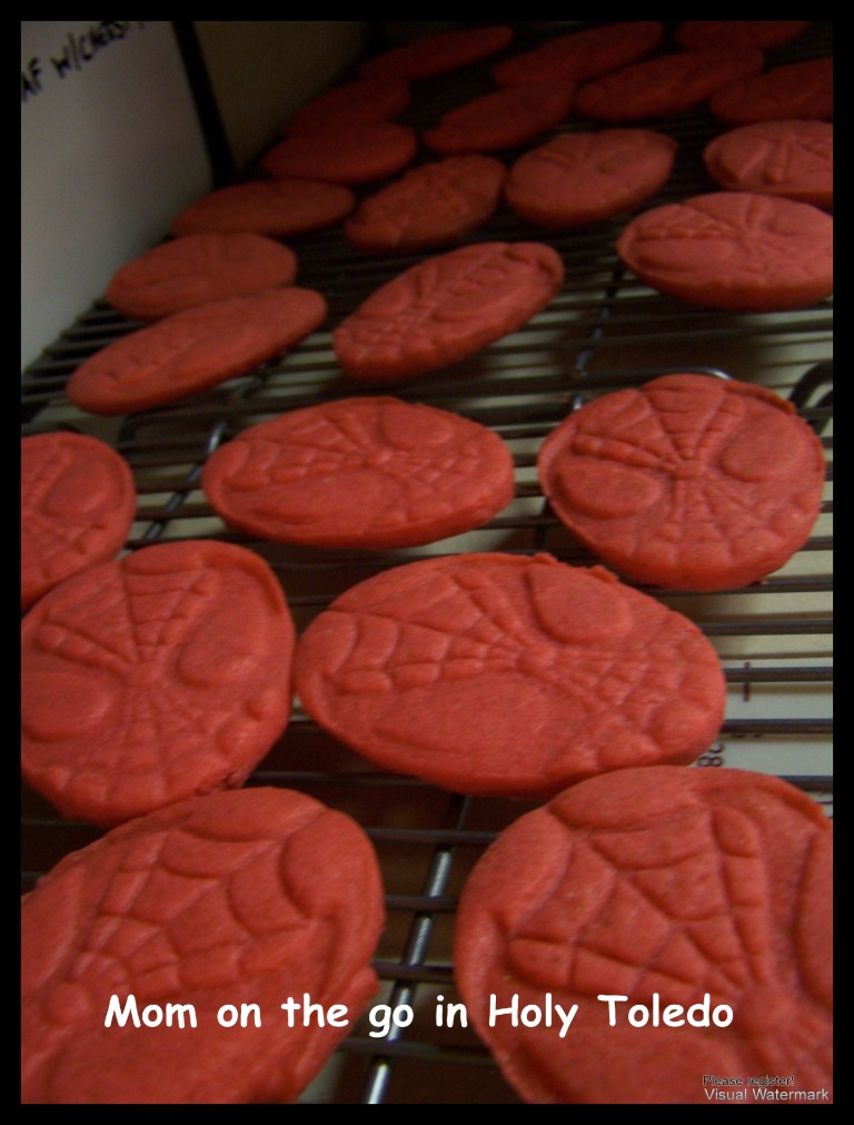 blueberries_pork_spidermancookies 013