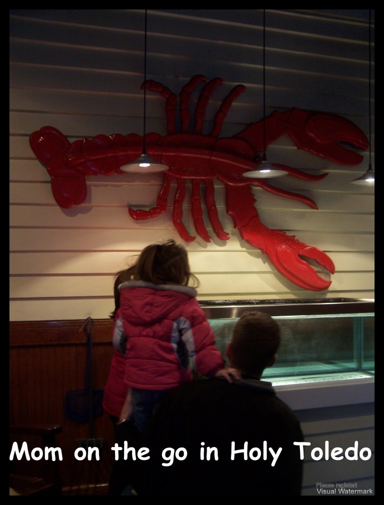 sesamestreet_lobster 040