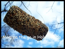 Bird themed activities for kids! (Free&nbsp;Printouts)