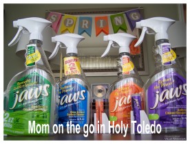 Eco-friendly Cleaner (Giveaway)