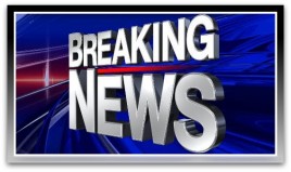 Dream Day at the Mall becomes a&nbsp;Nightmare!