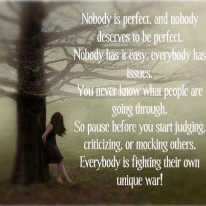 nobody-perfect