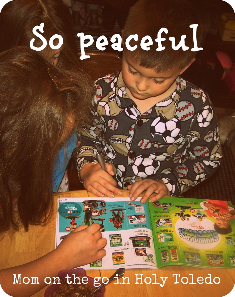 project_wishlist_pumkincookies 033