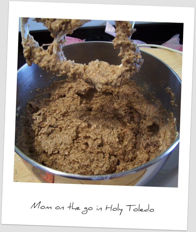 steelcutpumkincookies 008