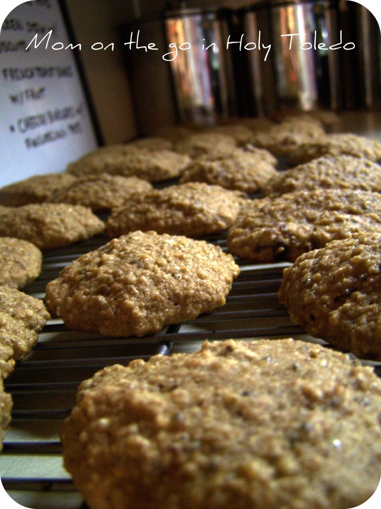 steelcutpumkincookies 012