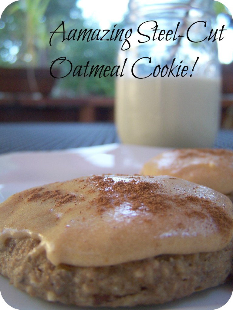 steelcutpumkincookies 015