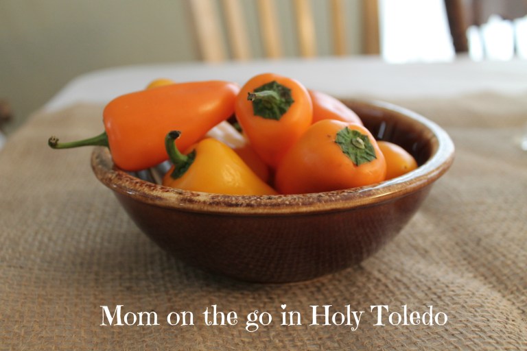 cdo_healthysnacks_shelf 022