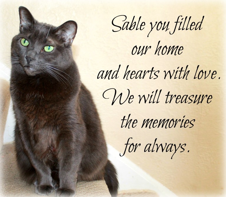 grandpabday_pets 052