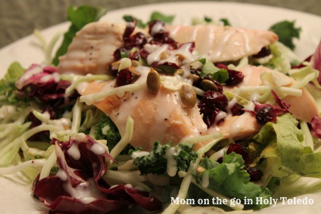 maddyheart_cupcake_b4 054