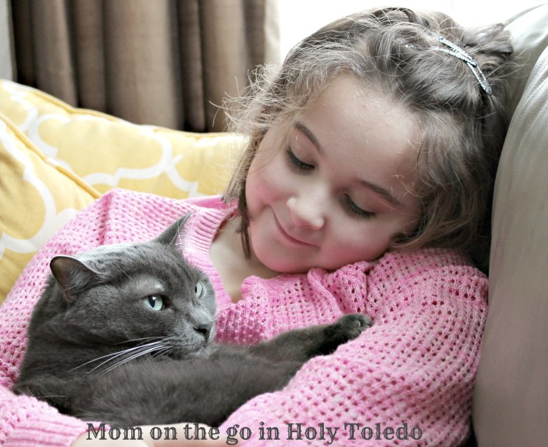 mepets_sablesunday 0303