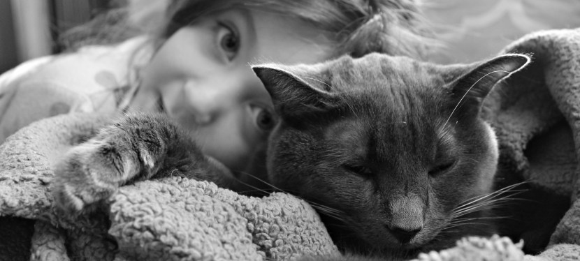 Lessons Learned through the Mourning Process