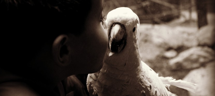 Toledo Zoo = Winter Fun!