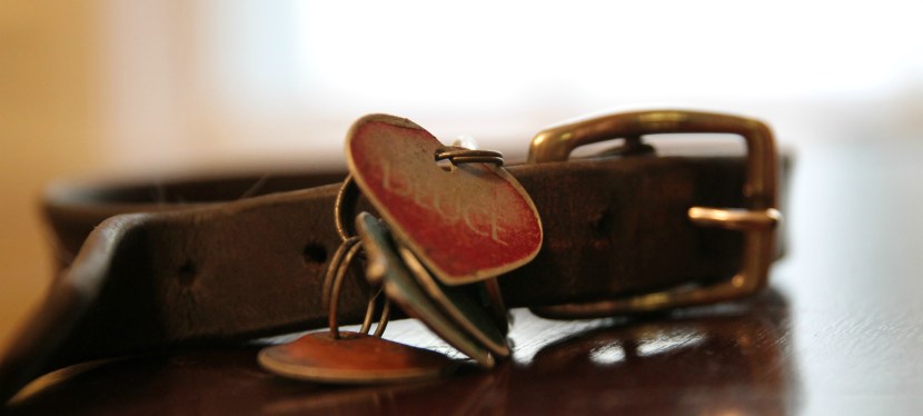 SAHM says Goodbye to Co-worker & BFF