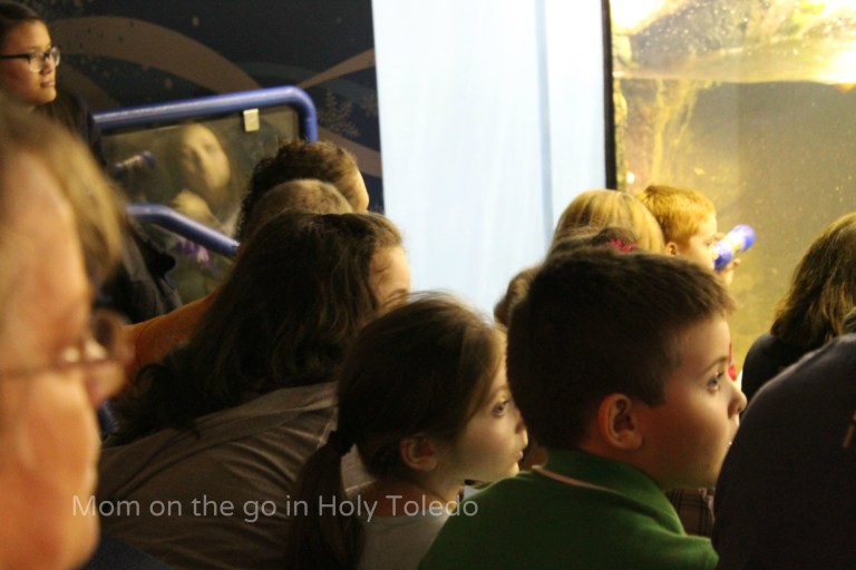 castle_aquariumnewport 180