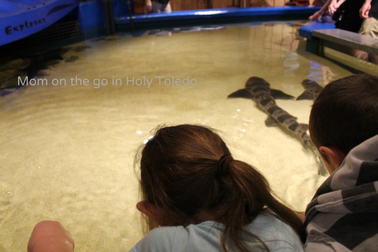 castle_aquariumnewport 187