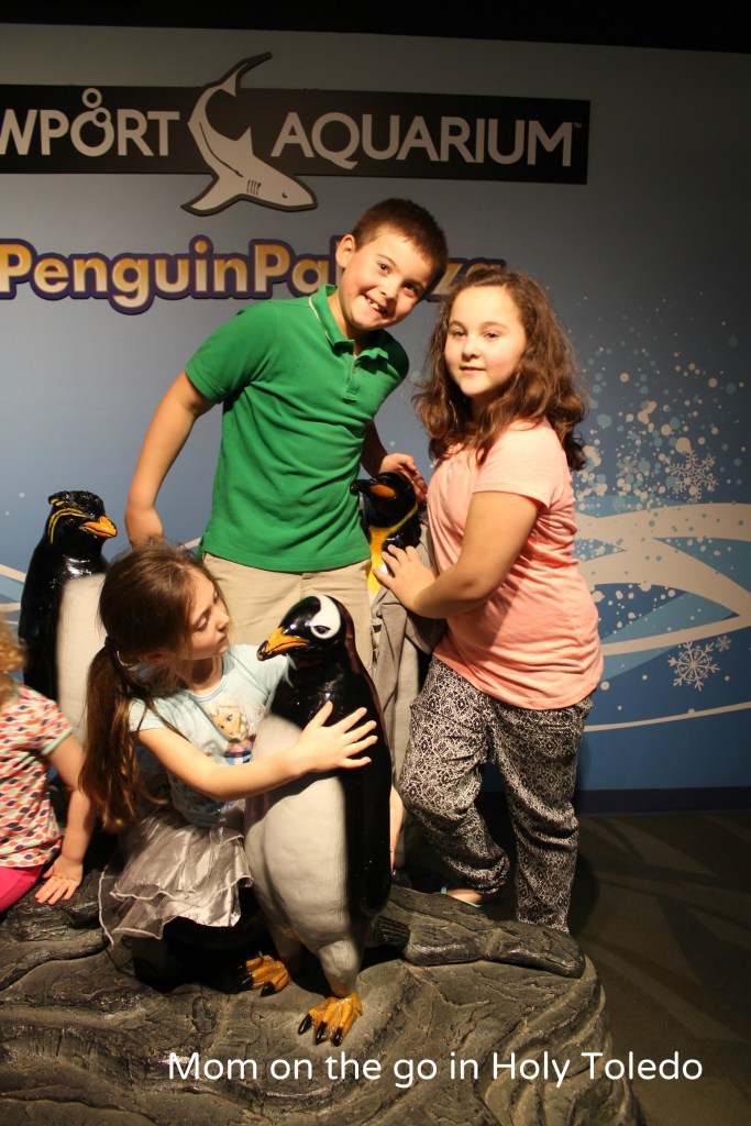 castle_aquariumnewport 199