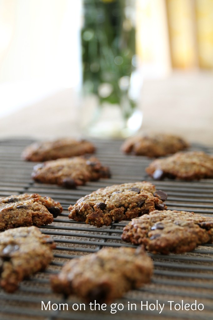 breakfasts_glasses 006COOKIES