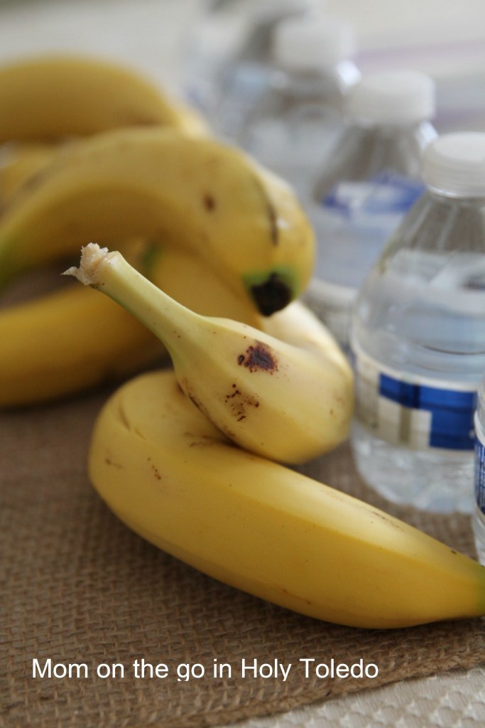 cater_roadsnacks_hord 012