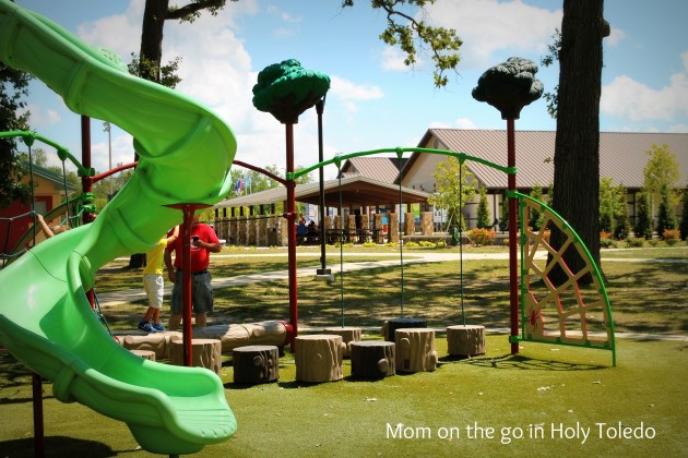 artichoke_splashpad 101BLOG