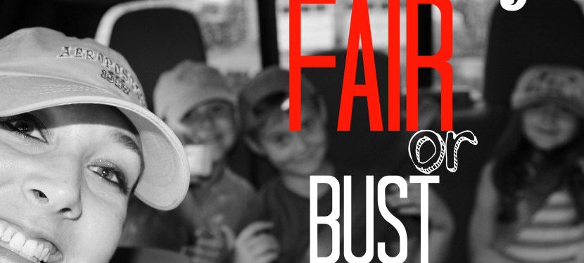 Fulton County Fair: Best Fieldtrip EVER!