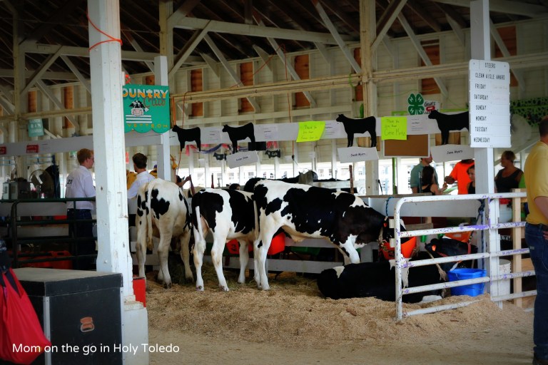 fultoncountyfair 018BLOG