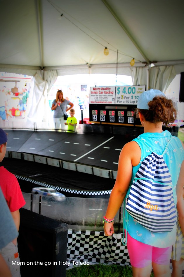 fultoncountyfair 041BLOG