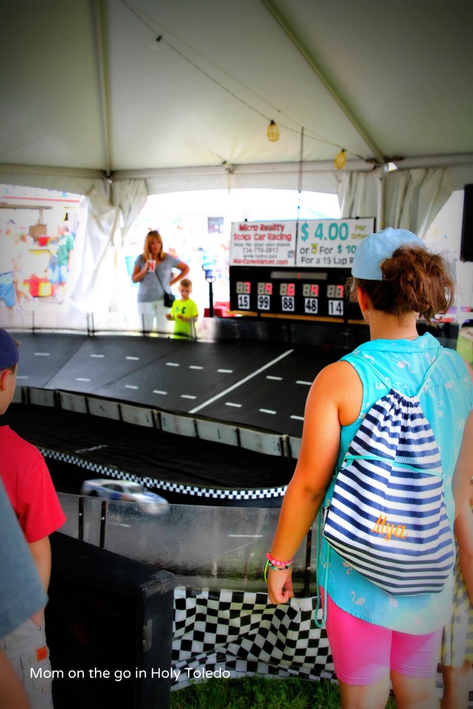 fultoncountyfair 041BLOG