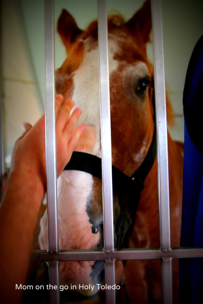 fultoncountyfair 083BLOG