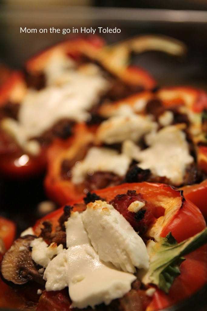 LOWCARBroastedstuffedpeppers_mincrafthead 008