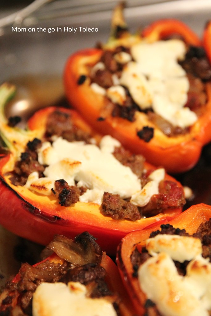 LOWCARBroastedstuffedpeppers_mincrafthead 010