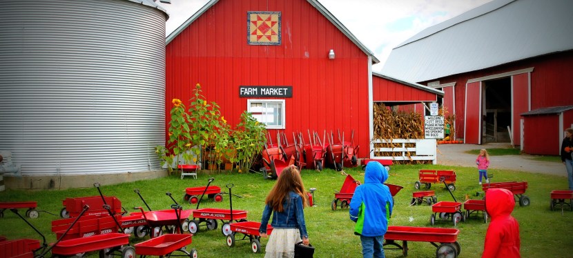 Best FREE Farm Experience!