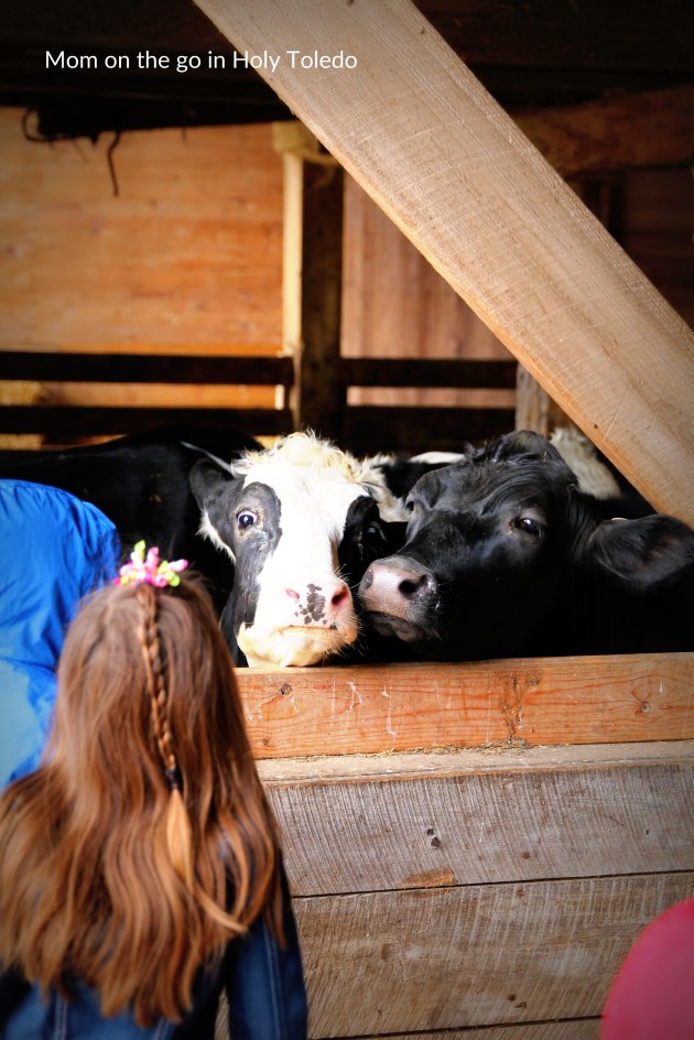 GUSTBROmeals_gustbrothers 061