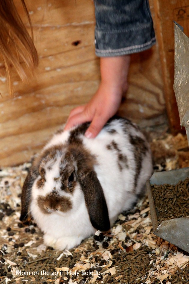 GUSTBROmeals_gustbrothers 157