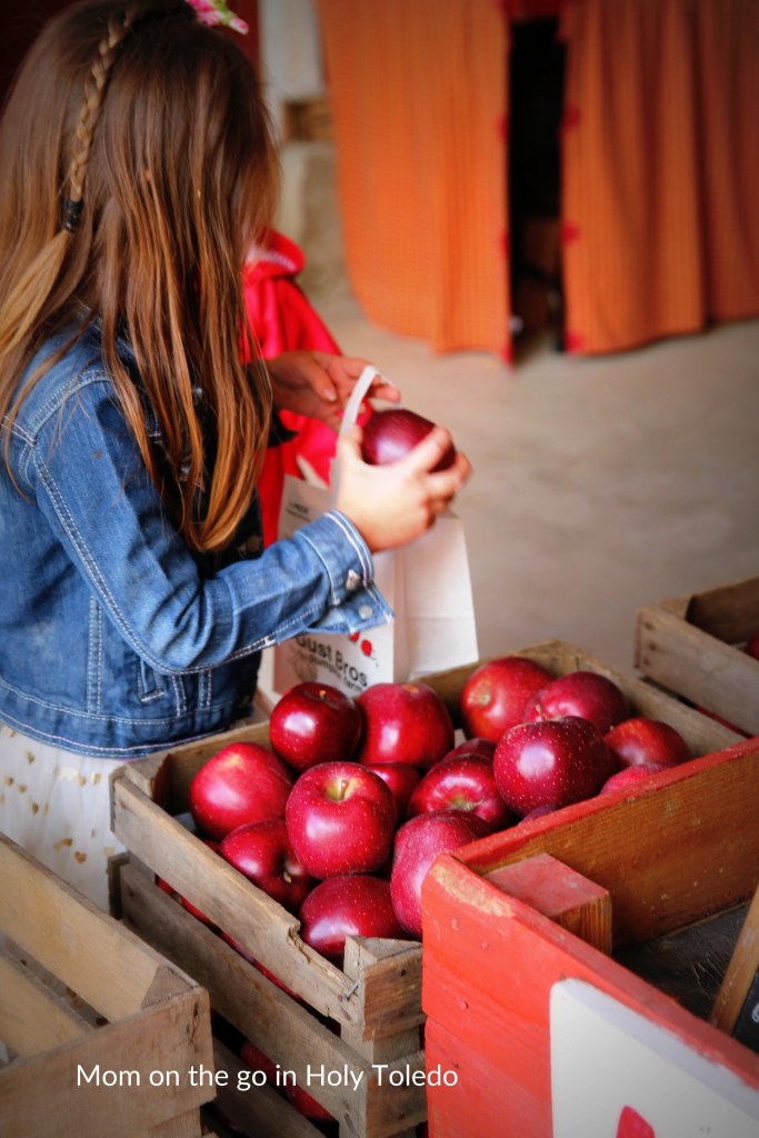 GUSTBROmeals_gustbrothers 198