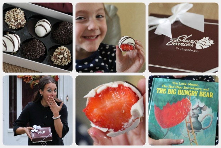 SHariBerriesRibbet collage